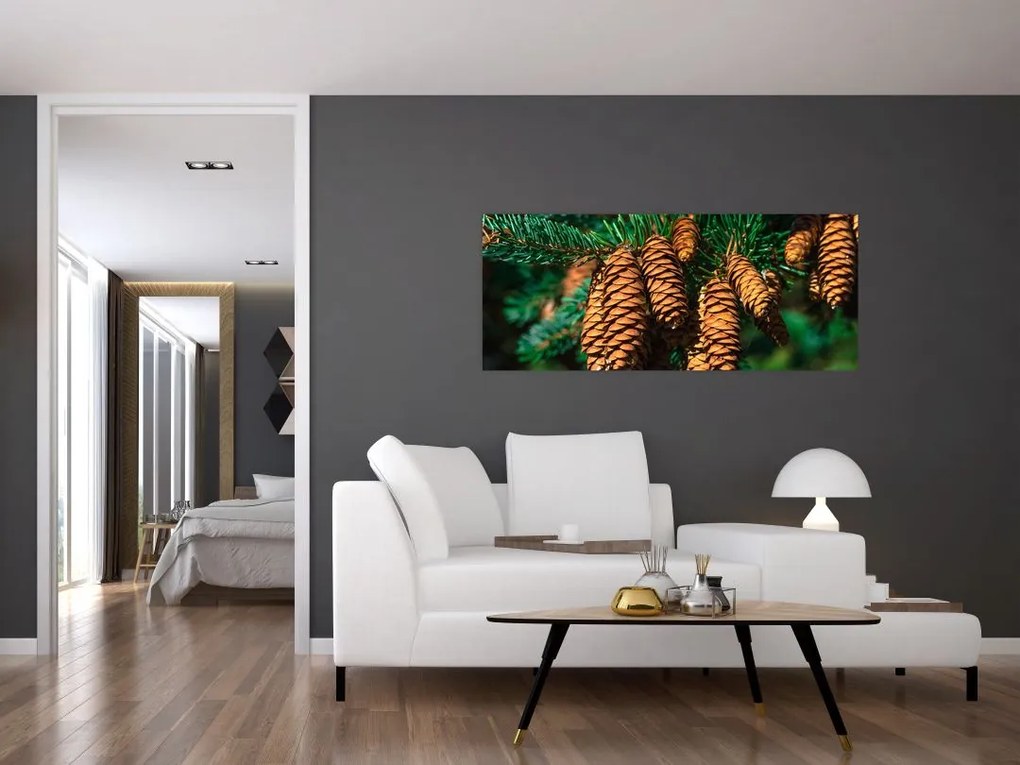 Tablou cu con de brad (120x50 cm)