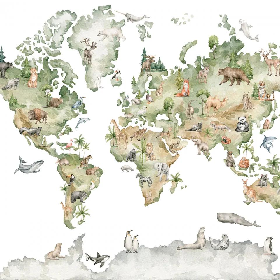 Fototapet - Harta lumii colorata pentru copii
