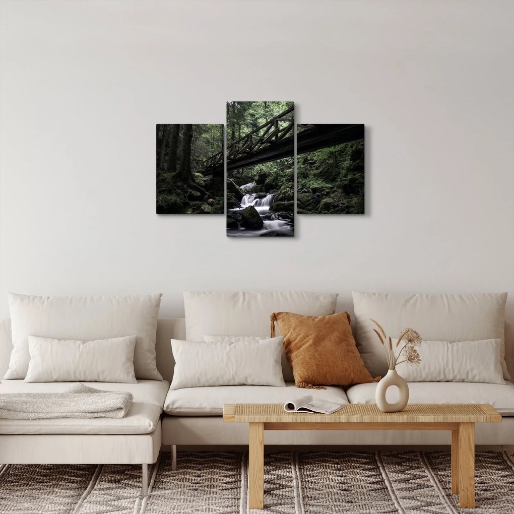 Tablou din pădurea neagră (90x60 cm)