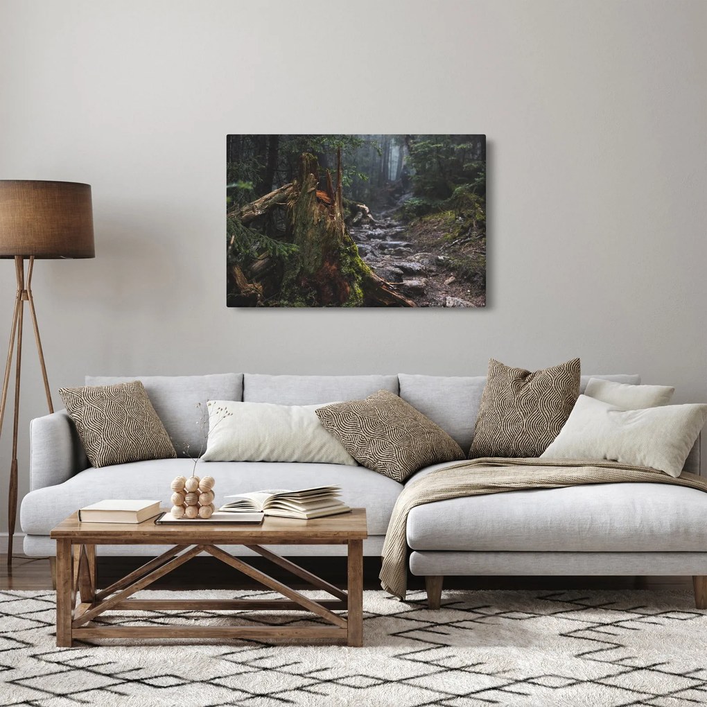 Tablou - În pădure (90x60 cm)