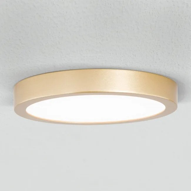 Plafoniera LED moderna design slim Lero 18cm auriu mat