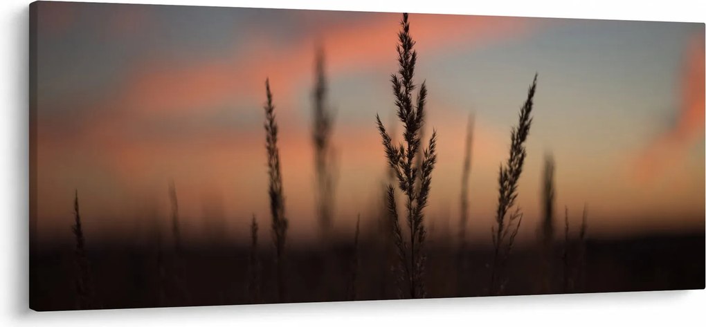 Tablou - Silueta plantei (120x50 cm)