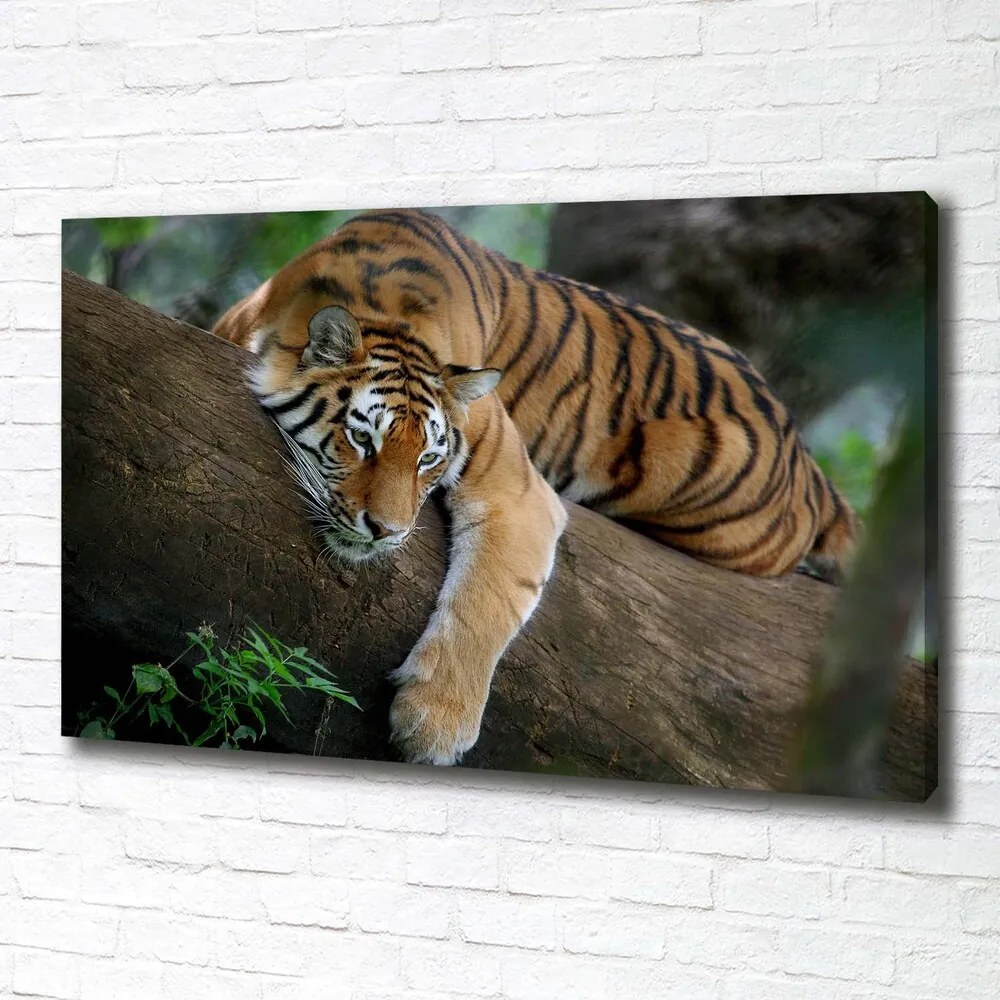 Print pe pânză Tiger pe un copac
