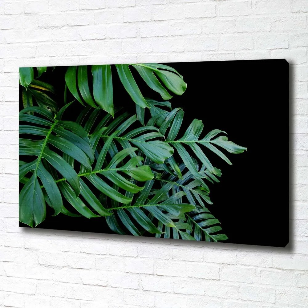 Print pe pânză Monstera