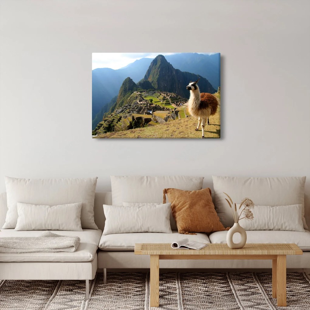 Tablou - Lama și Machu Picchu (90x60 cm)
