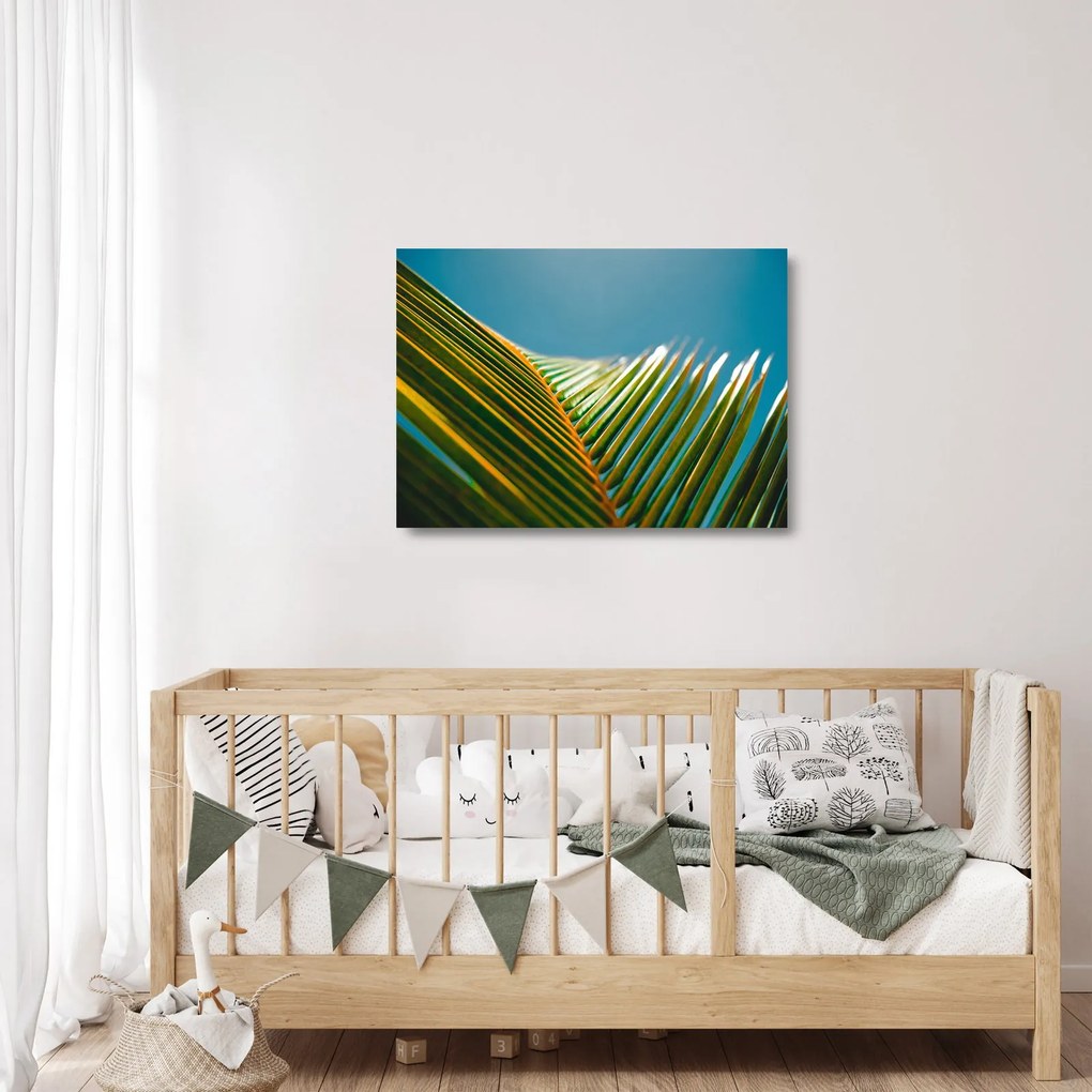 Tablou pe sticlă - Frunze de palmier (70x50 cm)