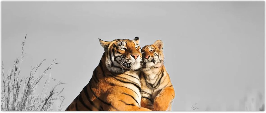 Tablou - Tigroaica cu pui, versiunea alb-negru (120x50 cm)