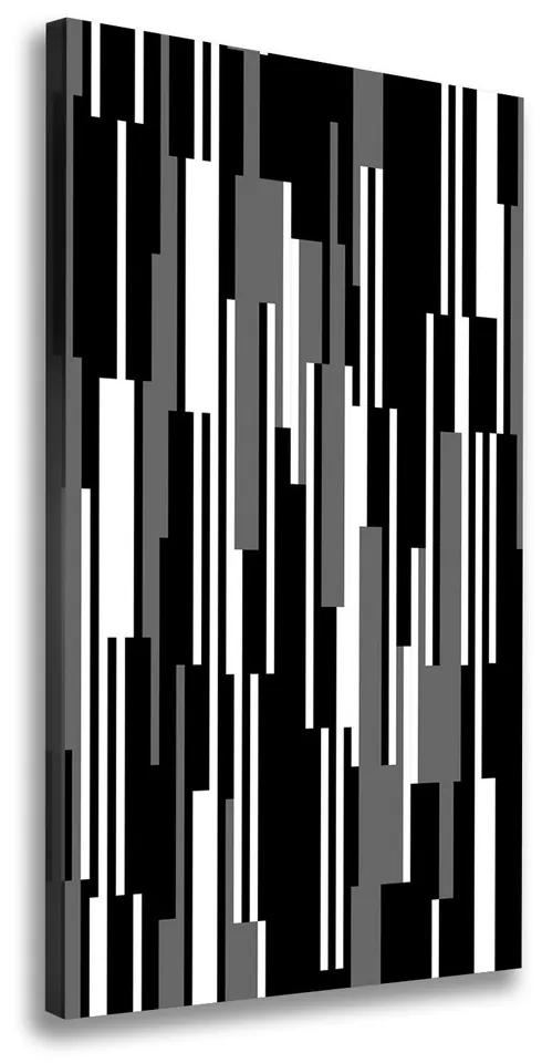Tablou pe pânză canvas Linii negre și albe