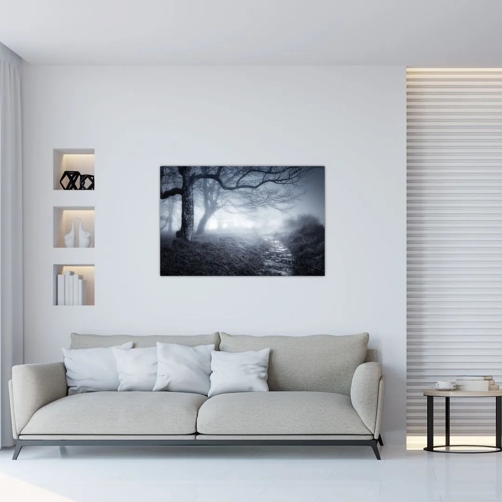 Tablou - Drum pin ceață (90x60 cm)