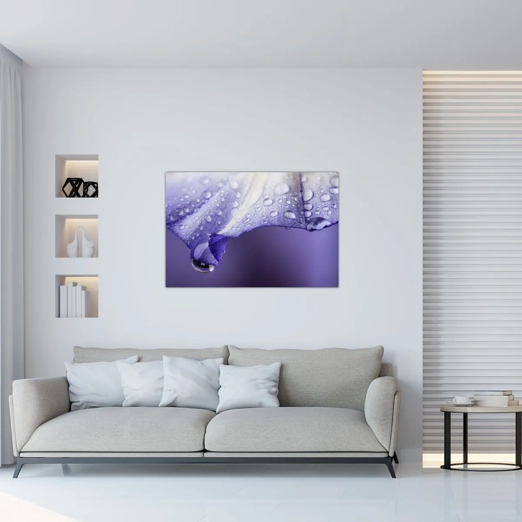Tablou - Petală cu picături (90x60 cm)