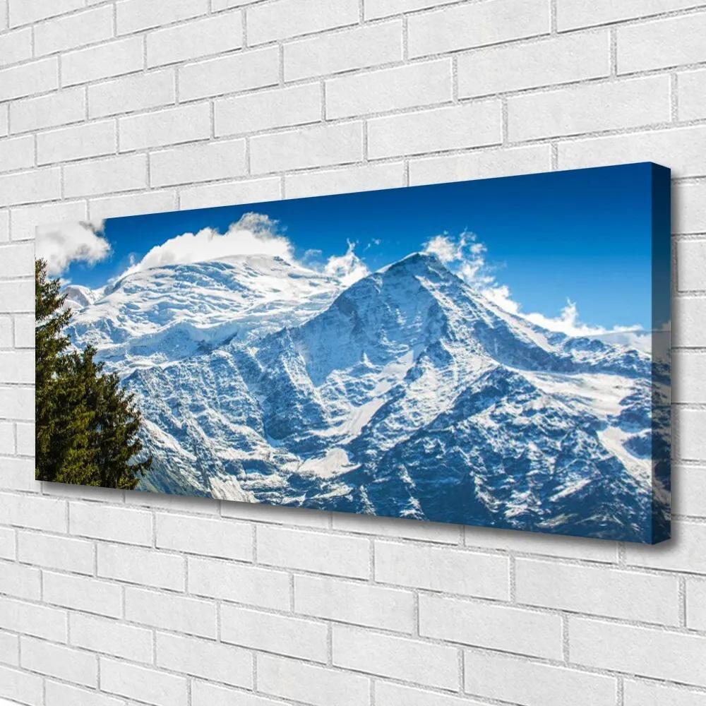Tablou pe panza canvas Peisaj de munte copac Albastru Alb Verde