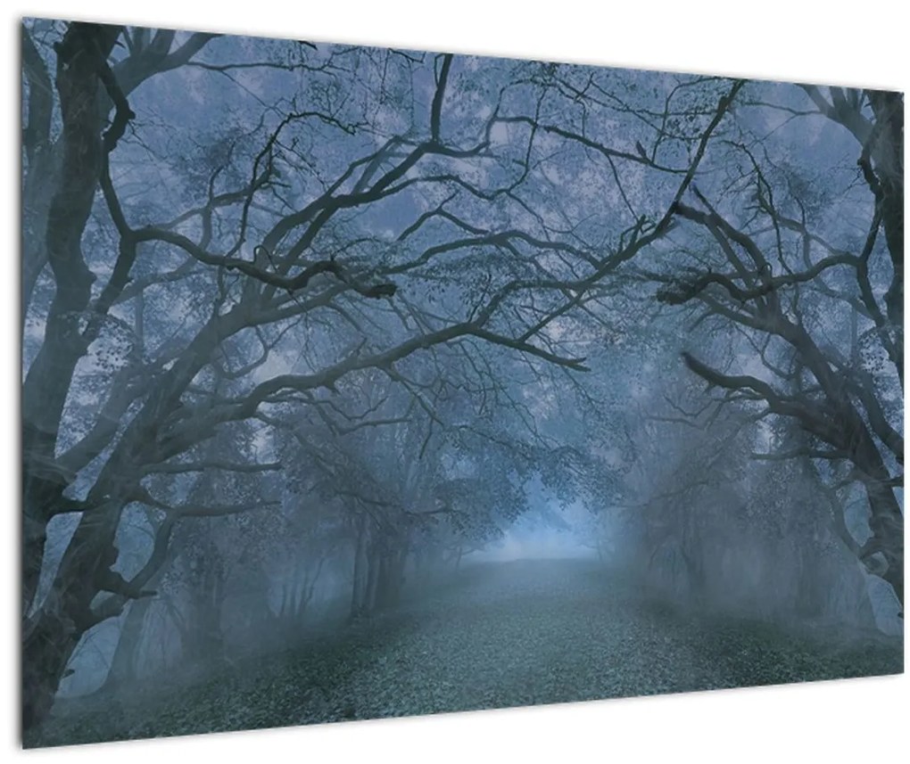 Tablou - Pădurea în ceață (90x60 cm)