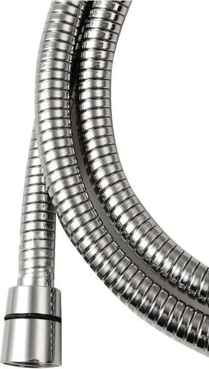 Furtun de duș argintiu lucios din oțel inoxidabil Lux – Sapho