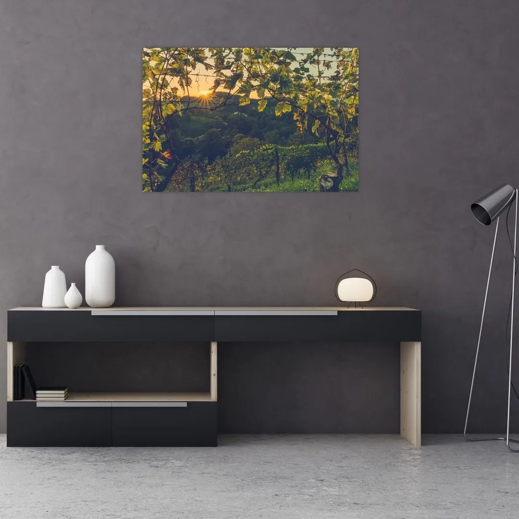 Tablou - Podgorii (90x60 cm)