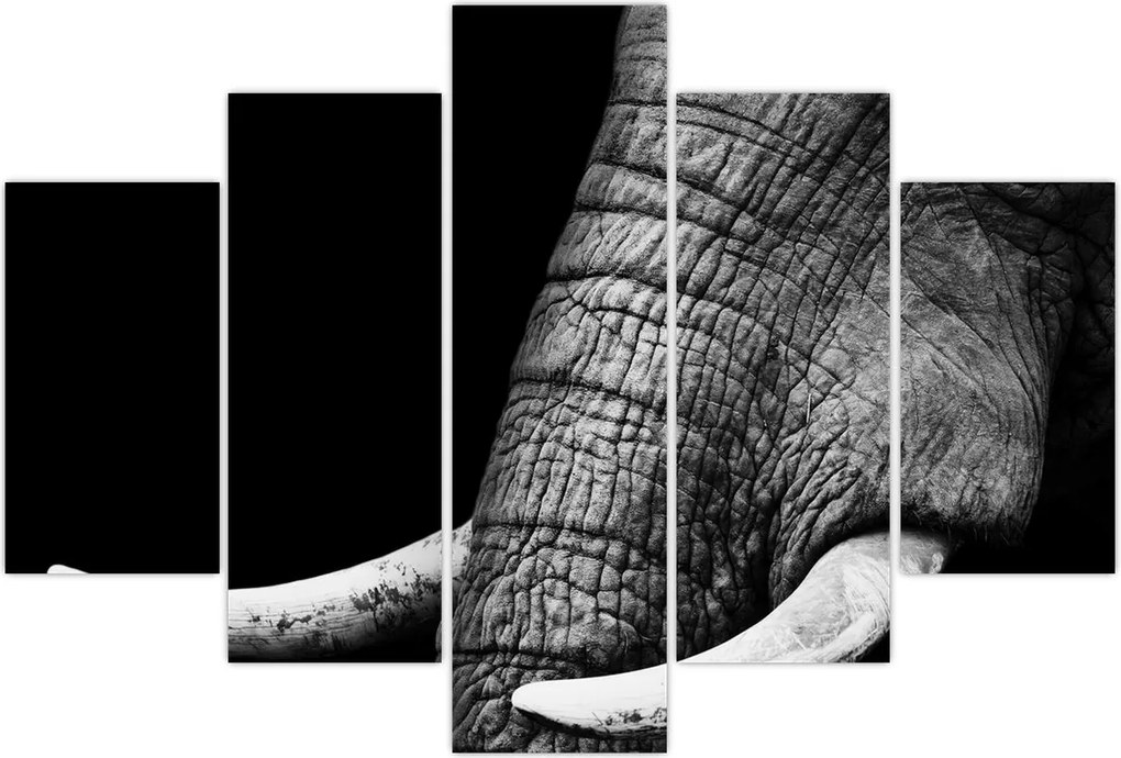 Tablou - Colți de elefant (150x105 cm)