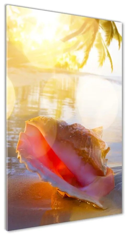 Tablou din Sticlă Seashell pe plaja