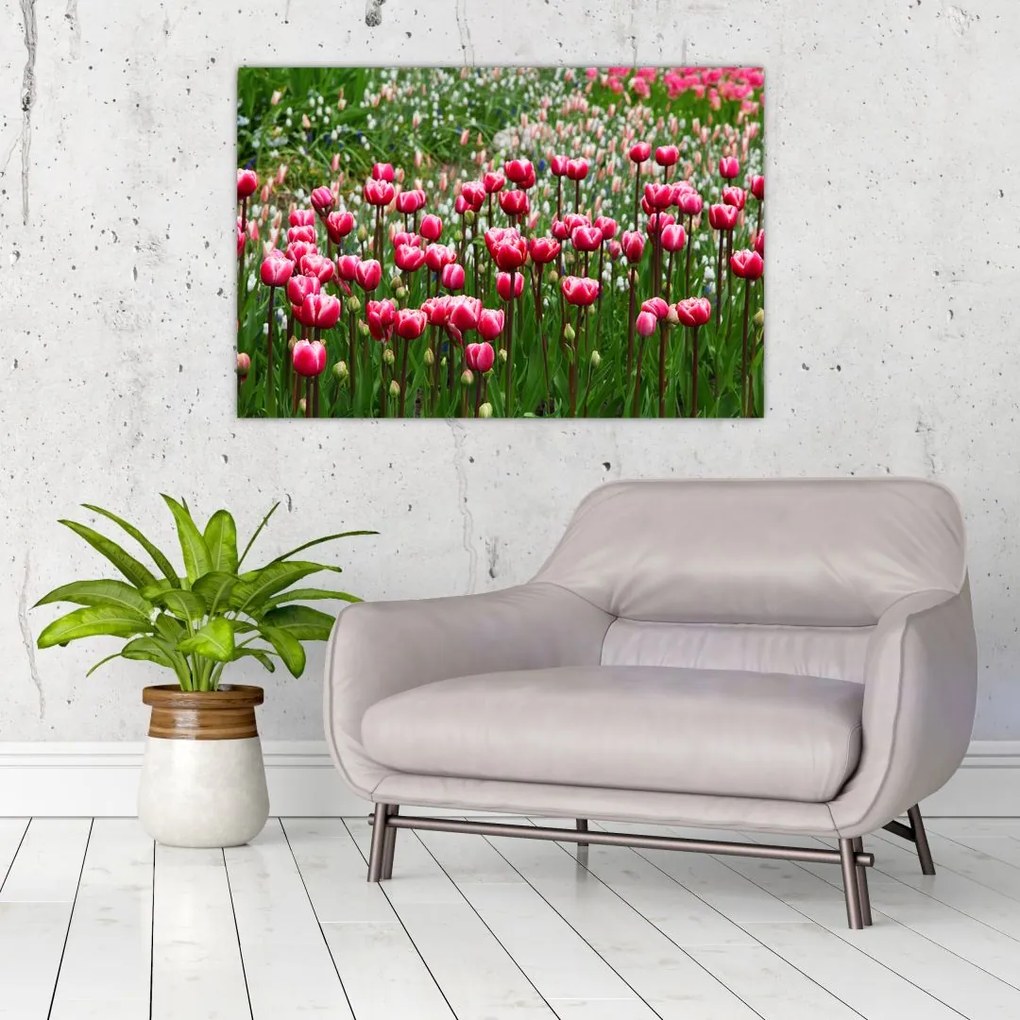 Tablou - Lalele (90x60 cm)