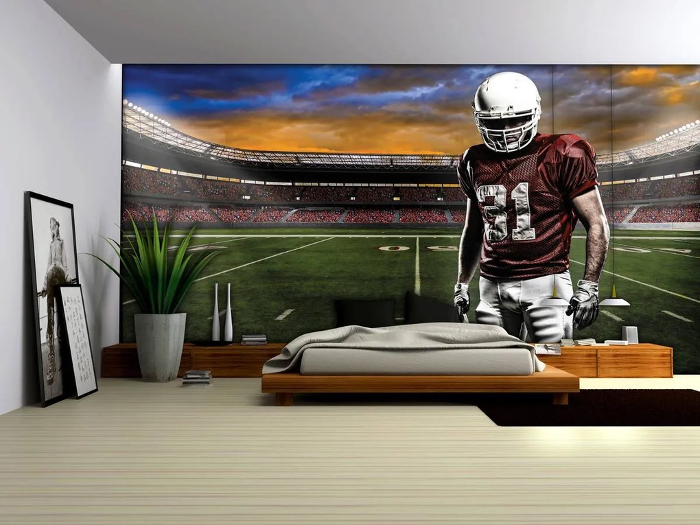 Fototapet - Stadionul american de fotbal (152,5x104 cm)