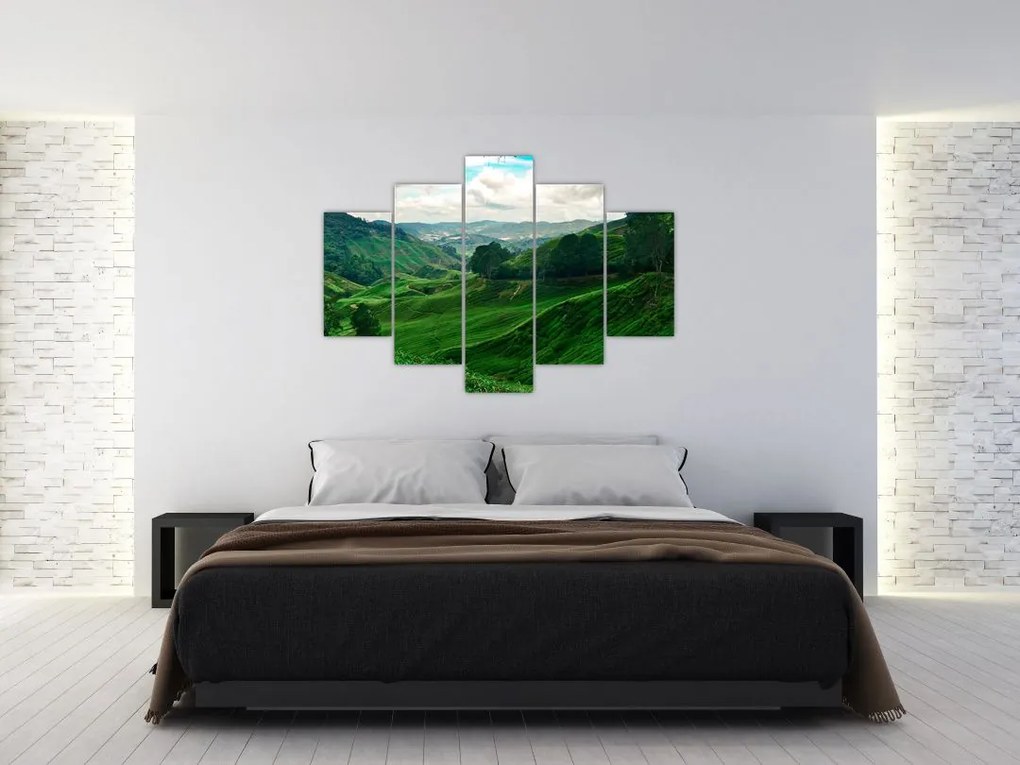 Tablou Plantații de ceai - Malaezia (150x105 cm)