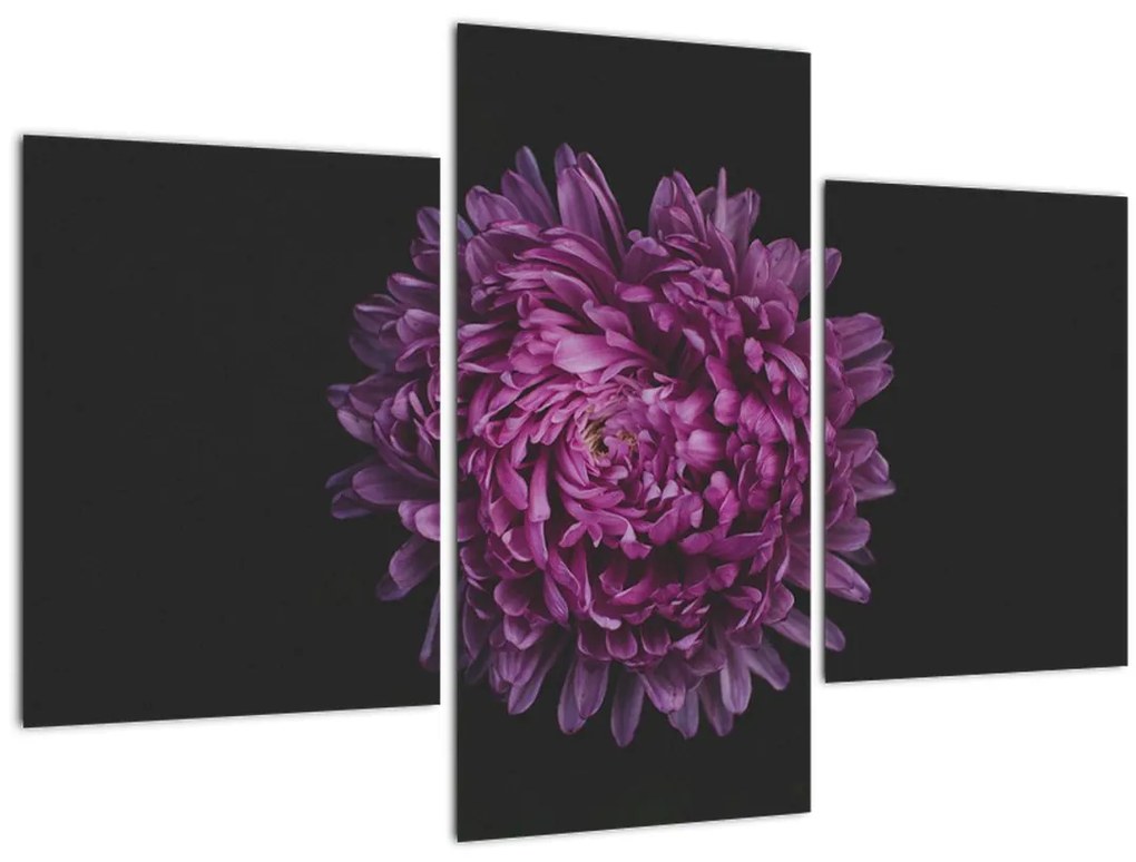 Tablou cu floare violetă (90x60 cm)
