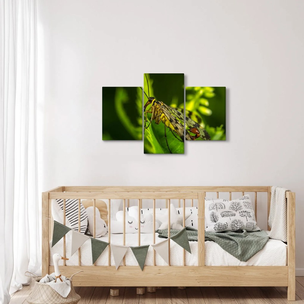 Tablou cu omide (90x60 cm)