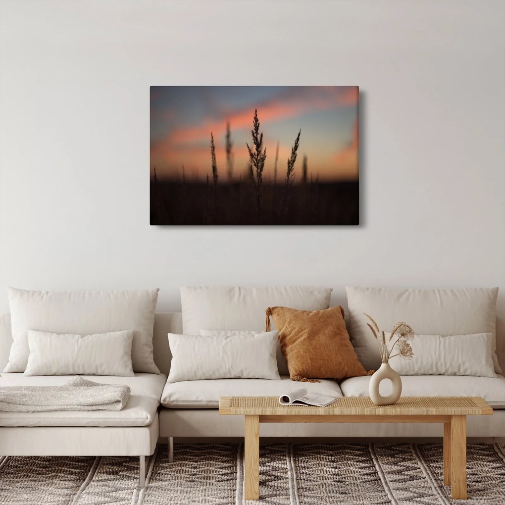 Tablou - Silueta plantei (90x60 cm)