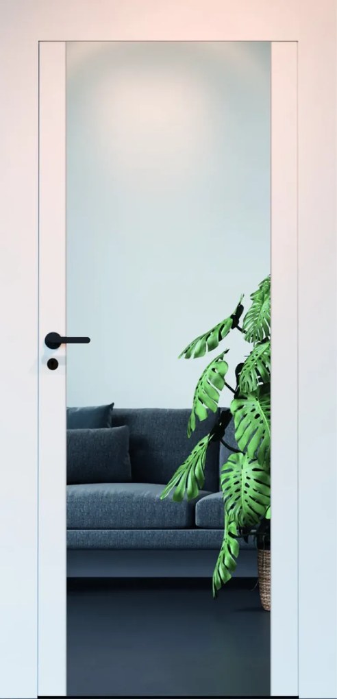 Filomuro Mirror - Usa invizibila cu oglinda aplicata 1000x2076, ST, Deschidere in hol