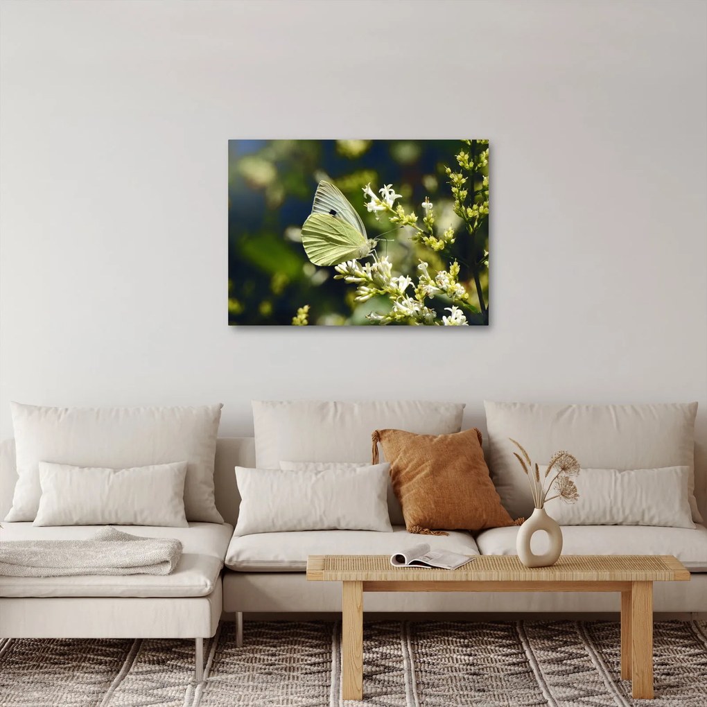 Tablou cu fluture (70x50 cm)