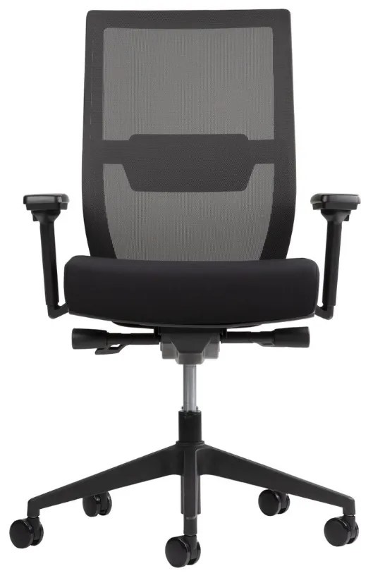 Scaun ergonomic cu brate reglabile 3D, spatar din mesh, mecanism sincron - Cu tetieră