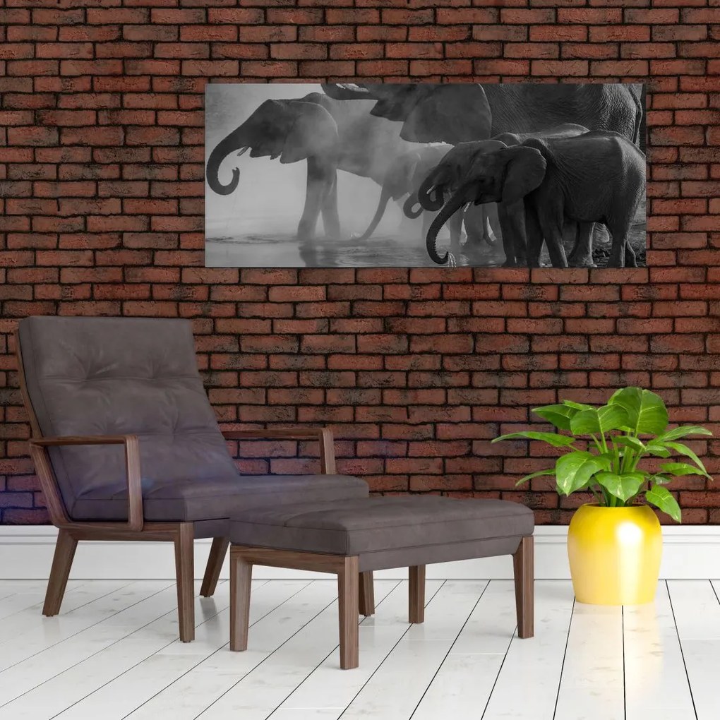 Tablou cu elefanți - albnegru (120x50 cm)
