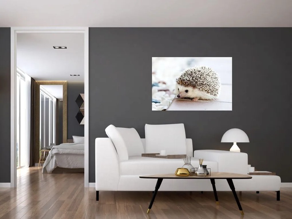 Tablou cu arici (90x60 cm)