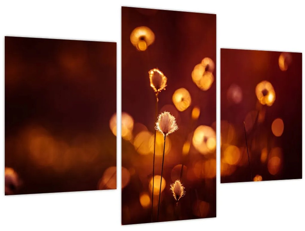 Tablou - Dimineața (90x60 cm)