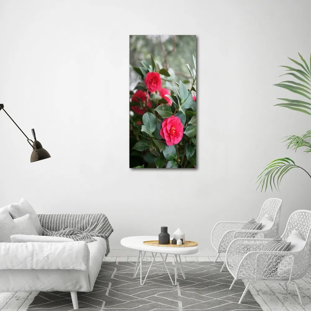Print pe pânză Camelia