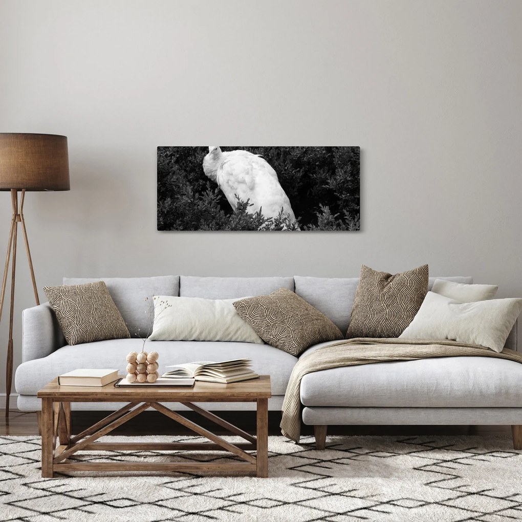 Tablou - Păun,alb-negru (120x50 cm)