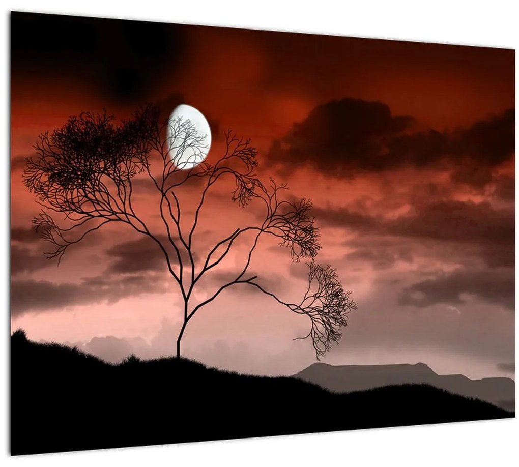 Tablou pe sticlă - Luna luminează noaptea (70x50 cm)