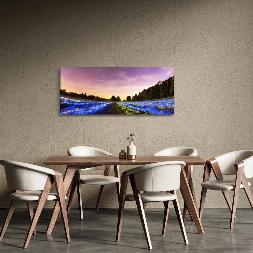 Tablou cu câmp colorat (120x50 cm)