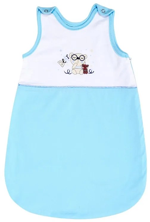 Lorelli - Sac de dormit de iarna, 60 cm, 0-6 Luni, cu broderie, Za Za Blue