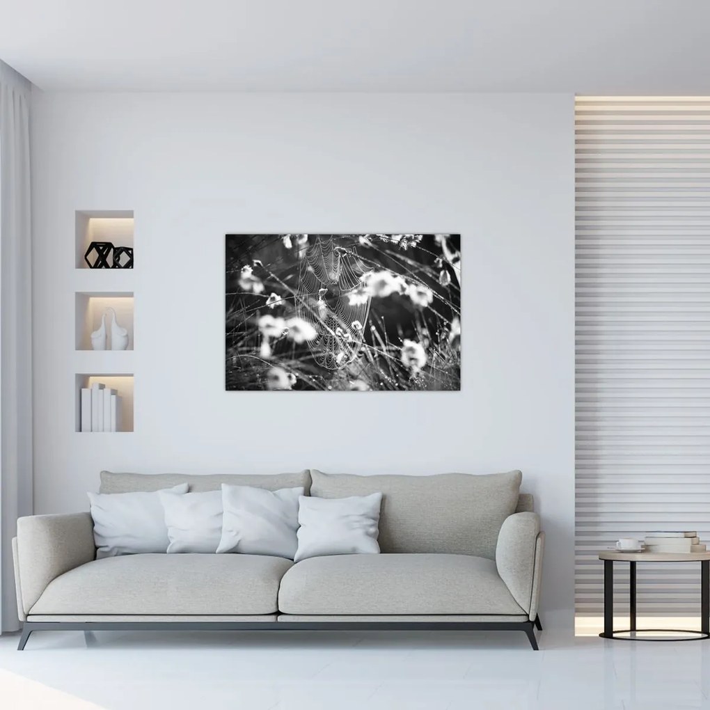 Tablou - Pânza de păianjen în pajiște (90x60 cm)