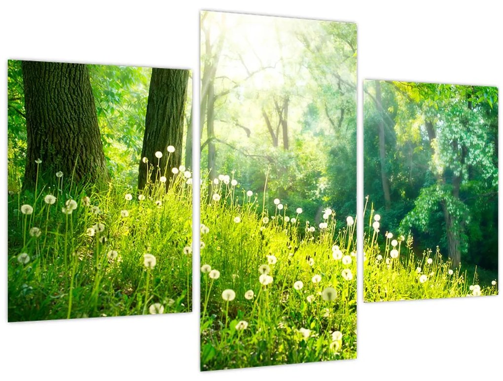 Tablou - Pajiște magică plină de păpădii (90x60 cm)