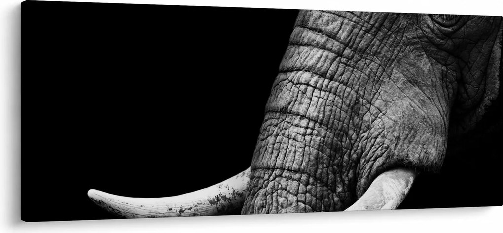 Tablou - Colți de elefant (120x50 cm)