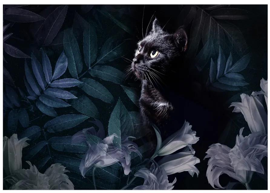 Fototapet - Pisică neagră la pândă - variantă a doua