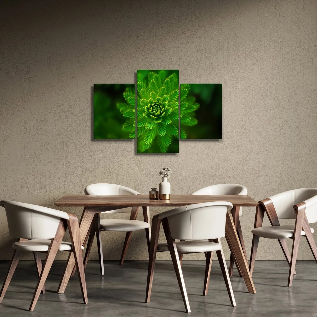 Tablou cu coniferi (90x60 cm)