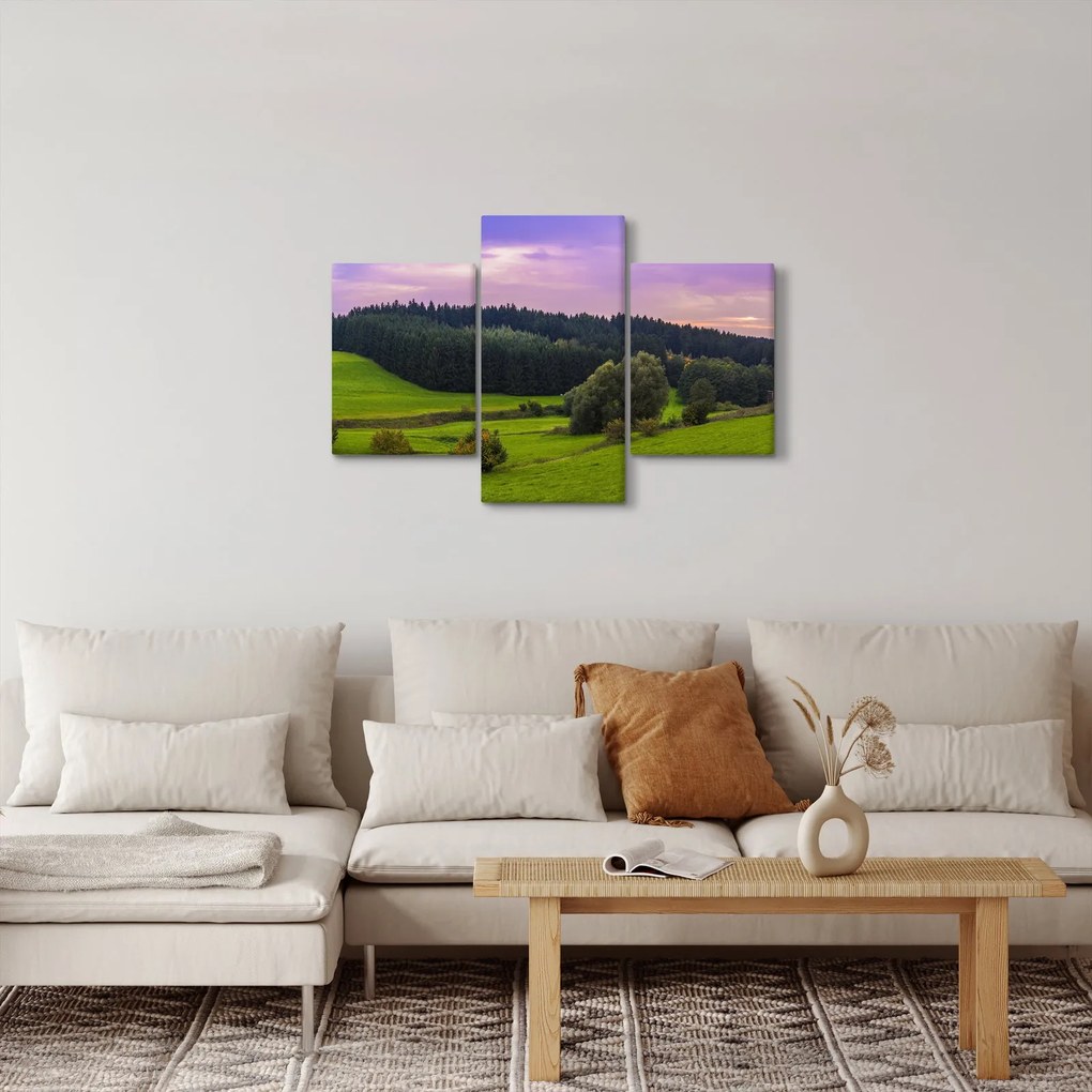 Tablou cu lunca (90x60 cm)