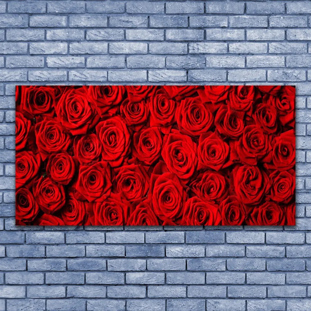 Tablou pe panza canvas Trandafiri Floral Roșu Verde Alb