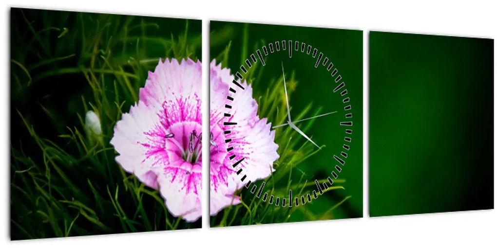 Tablou cu floare roz (cu ceas) (90x30 cm)