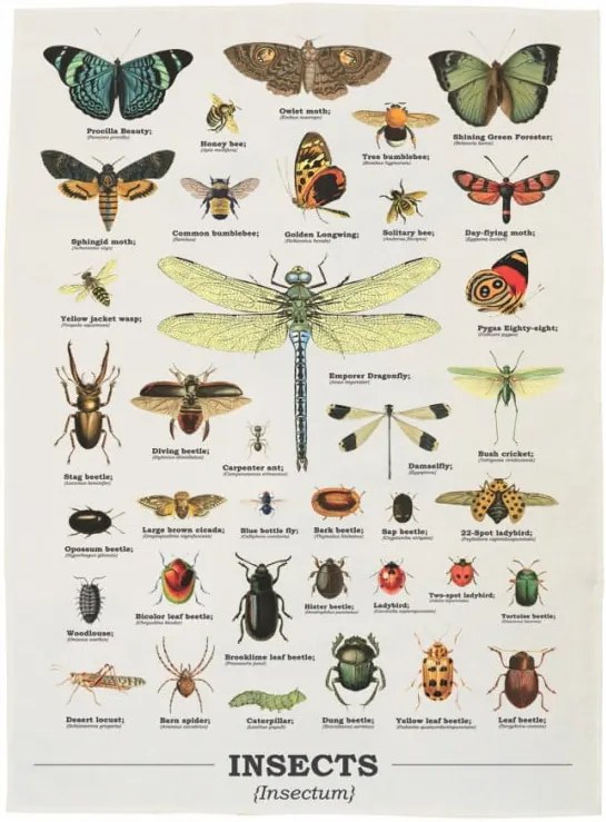 Prosop de bucătărie din bumbac Gift Republic Insects, 50 x 70 cm