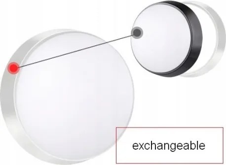 LED Aplica exterior cu senzor LED/15W/230V 4000K IP65