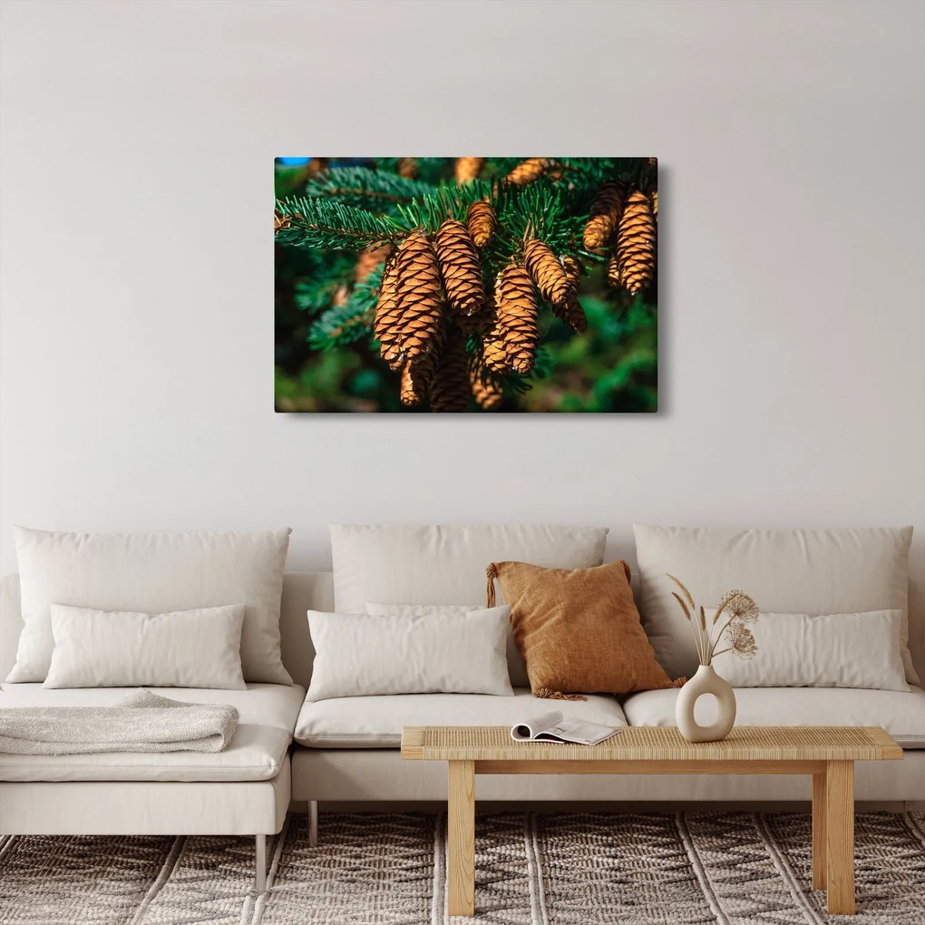 Tablou cu con de brad (90x60 cm)