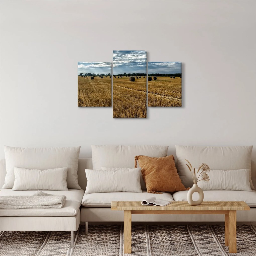 Tablou cu câmp recoltat (90x60 cm)