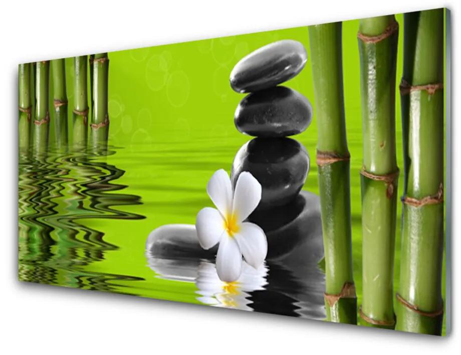 Tablou pe sticla Bamboo Tube flori Stones Arta Verde Negru Alb